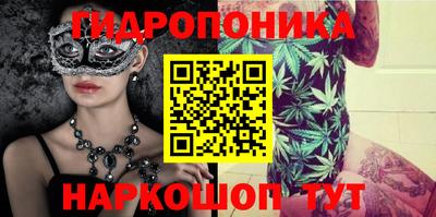 стафф Донской