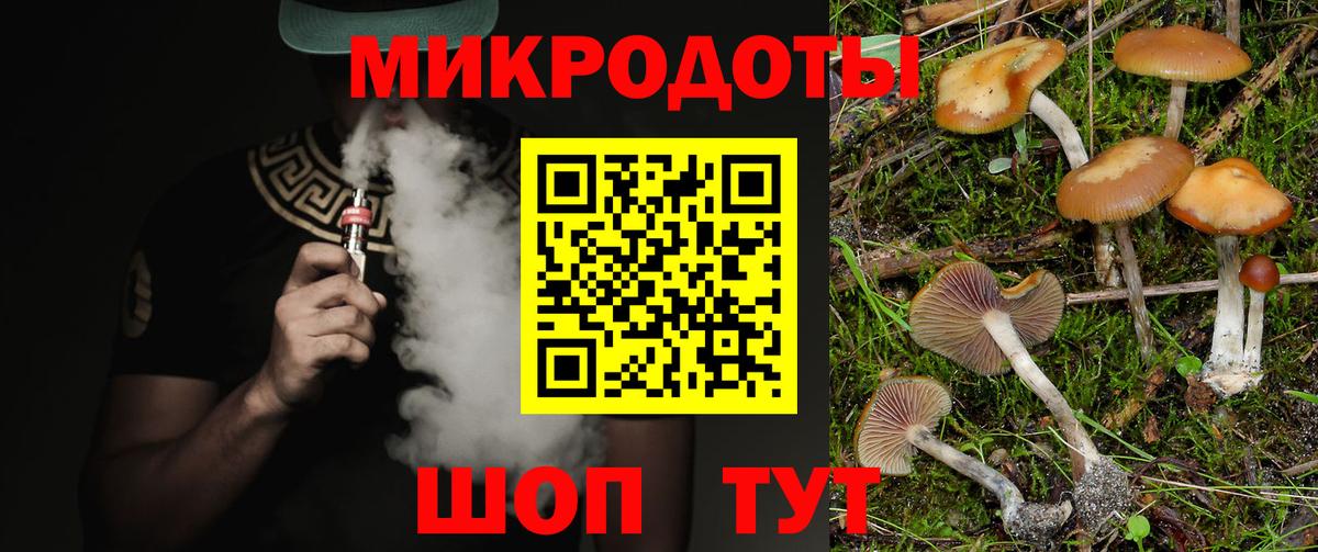 Малоярославец  Галлюциногенные грибы GOLDEN TEACHER  Вход с VPN 